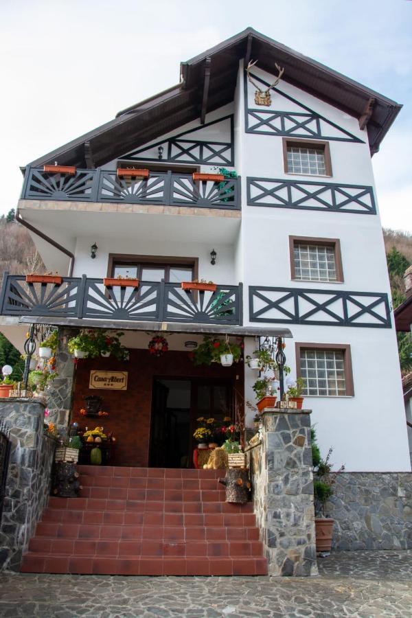 Casa Albert Sinaia Bagian luar foto